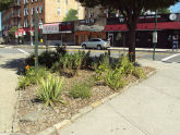 Studley Triangle 