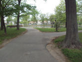 Springfield Park 