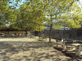 Sherry Park 