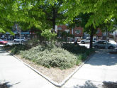 Ruoff Triangle 