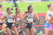 2012 Adidas Grand Prix 