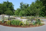 Shoelace Park Ribbon Cutting 