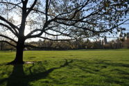 Spring in Central Park 
