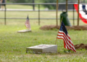 Memorial Grove 
