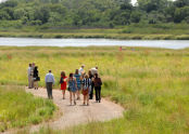 Gerritsen Creek Restoration 
