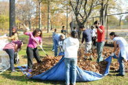 Crotona Park Volunteer Cleanup 