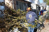 Storm Damage in Queens 