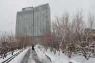 Winter Snow at The High Line 