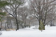 Winter Snow at Fort Greene Park 