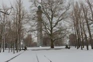 Winter Snow at Fort Greene Park 