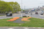 A Tulip-filled Greenstreet near Riverside Park 