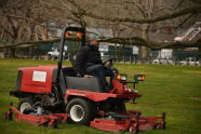 First Mow at Central Park 