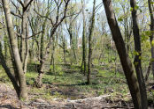 Goodhue Park Ribbon Cutting 