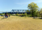 A Picnic Area at Starlight Park 