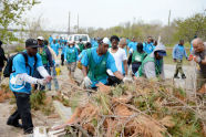Jamiaca Bay/Rockaway Parks Resotration Corps 