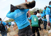 Jamiaca Bay/Rockaway Parks Resotration Corps 