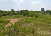 Pat Dolan Trail 
