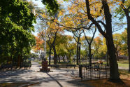Francis Lewis Park during the fall 