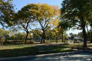 Francis Lewis Park during the fall 