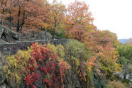 Fort Tryon Park (10/30/13) 