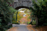 Fort Tryon Park (10/30/2013) 