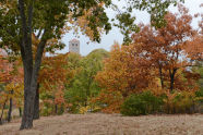 Fort Tryon Park (10/30/2013) 
