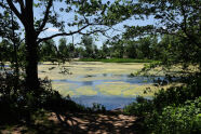 Wolfe's Pond Park 
