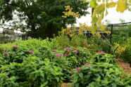 Foodway at Concrete Plant Park 