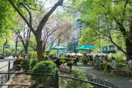 Union Square Park 