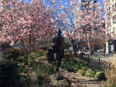 Statue of Mahatma Gandhi in Union Square Park 