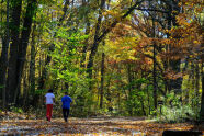 Walkers in the Park 