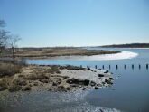 Salt Marsh looking out from the Nature Center 