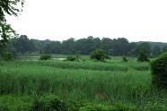 Pelham Bay Park 