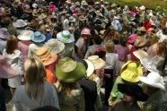 Frederick Law Olmsted Luncheon 