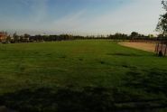 Opening Day 