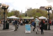 NYC GROWS Festival 