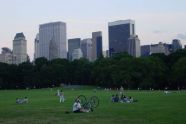 Great Lawn 