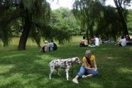 07-19-03 Woman with dog CP .jpg 