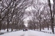 65123 02-18-03 Central Park after Blizzard 05.jpg 