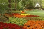10-23-03 Mums in Central Park South2.jpg 