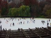 Wollman Rink 