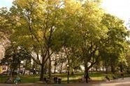 10-14-03 Theodore Roosevelt Park2.jpg 