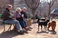 dogrun01.jpg 