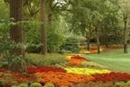 10-23-03 Mums in Central Park South1.jpg 