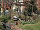 Clinton Community Garden 02.jpg 