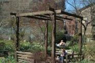 Clinton Community Garden 01.jpg 