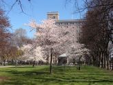 Sakura Park 