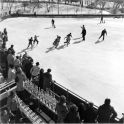 27th Annual Winter Carnival at Wollman Rink 