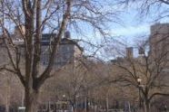 Photographs at the dog run in Washington Square Park. 