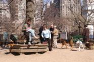Photographs at the dog run in Washington Square Park. 